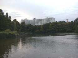 吉祥寺の井の頭公園